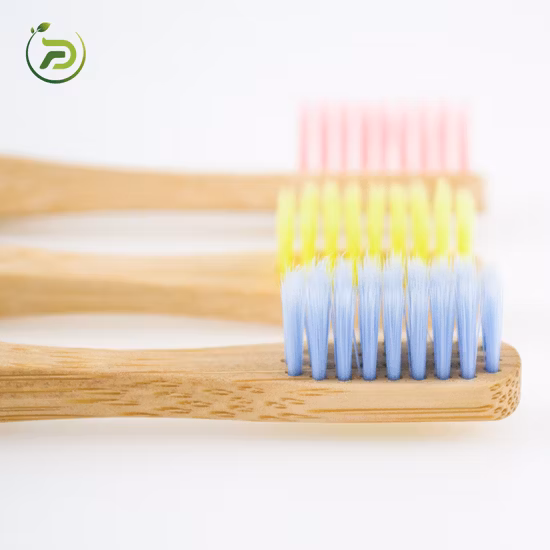 FDA BSCI Fsc ミディアムブリストル エコ